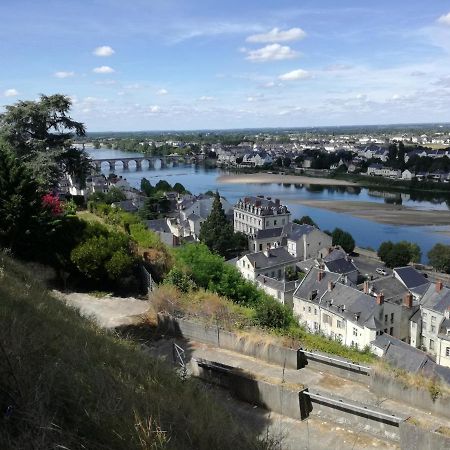 Castle Gite 16Eme Siecle Saumur Exterior photo