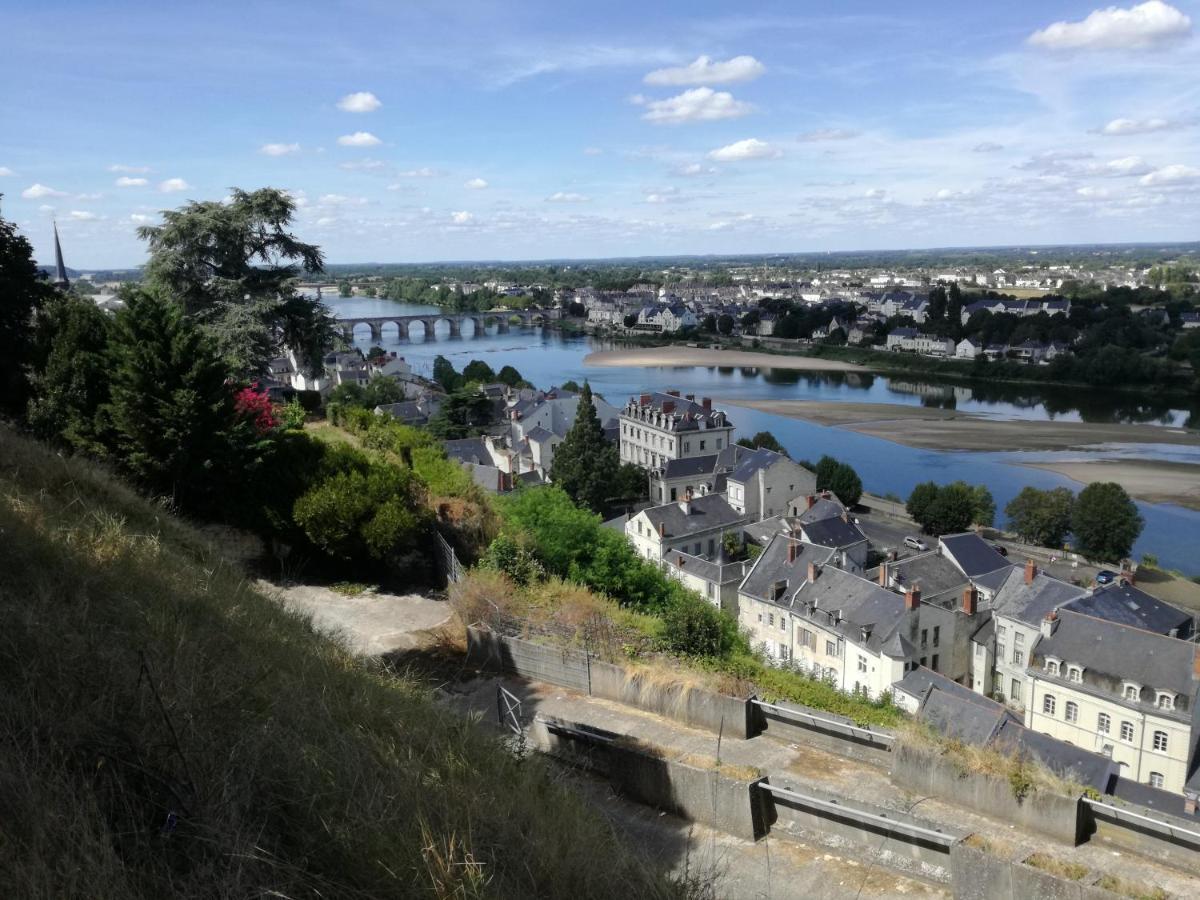 Castle Gite 16Eme Siecle Saumur Exterior photo